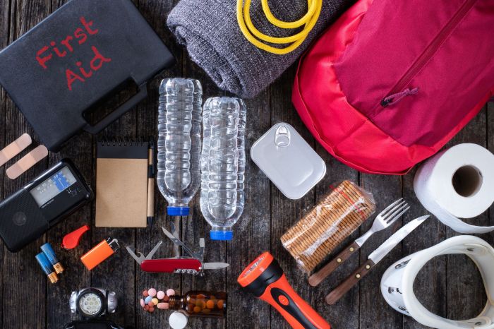 Essential car emergency kit items