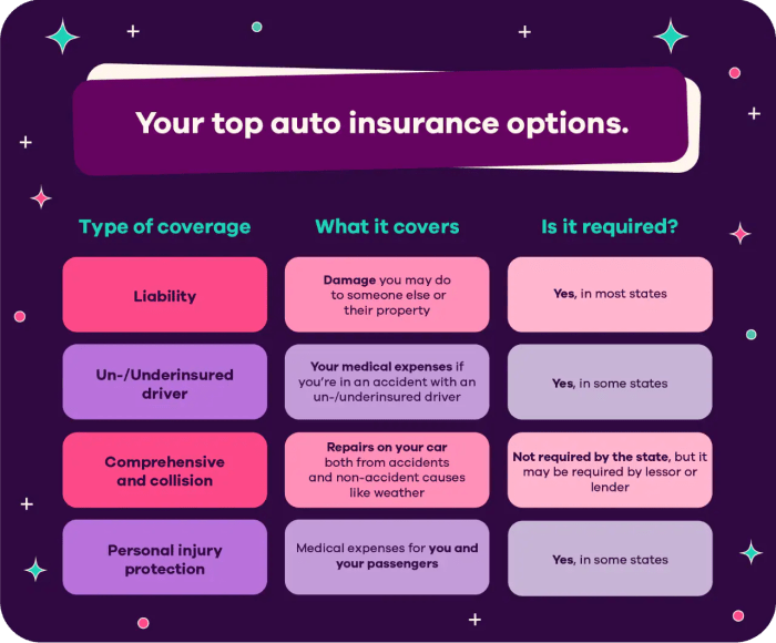 Best car insurance coverage options